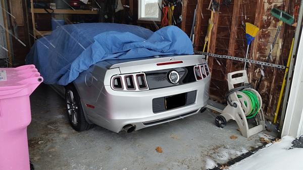 2010-2014 Ford Mustang S-197 Gen II Lets see your latest Pics PHOTO GALLERY-back-lights.jpg