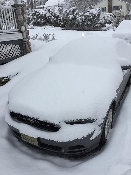 Snow stangs - let's see 'em-image-3154709271.jpg