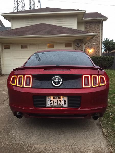 2010-2014 Ford Mustang Show us your rear end PHOTO GALLERY-image.jpg