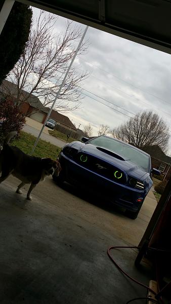 2010-2014 Ford Mustang S-197 Gen II Lets see your latest Pics PHOTO GALLERY-2015-03-20-04.54.23.jpg