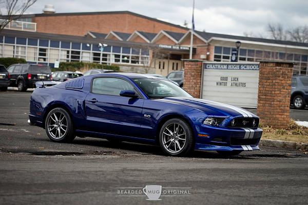 2010-2014 Ford Mustang S-197 Gen II Lets see your latest Pics PHOTO GALLERY-11043202_986000361450515_1117678997793079655_o.jpg