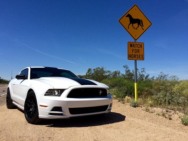 2010-2014 Ford Mustang S-197 Gen II Lets see your latest Pics PHOTO GALLERY-photo-mar-24-11-36-54-am.jpg