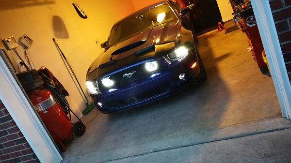 2010-2014 Ford Mustang S-197 Gen II Lets see your latest Pics PHOTO GALLERY-2015-04-02-12.04.17.jpg