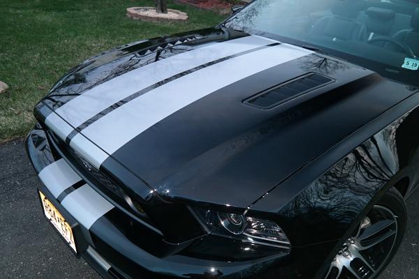 2010-2014 Ford Mustang S-197 Gen II Lets see your latest Pics PHOTO GALLERY-032c.jpg