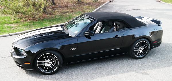 2010-2014 Ford Mustang S-197 Gen II Lets see your latest Pics PHOTO GALLERY-c006.jpg