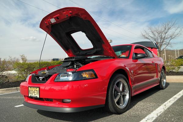 2010-2014 Ford Mustang S-197 Gen II Lets see your latest Pics PHOTO GALLERY-c003.jpg