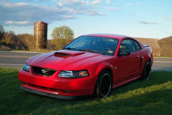2010-2014 Ford Mustang S-197 Gen II Lets see your latest Pics PHOTO GALLERY-c054.jpg