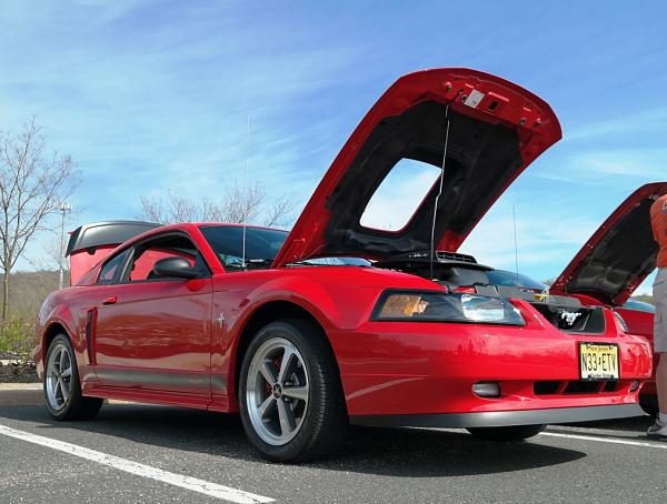 2010-2014 Ford Mustang S-197 Gen II Lets see your latest Pics PHOTO GALLERY-c001.jpg