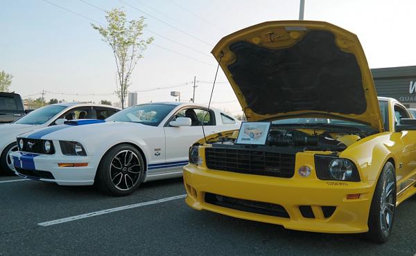 2010-2014 Ford Mustang S-197 Gen II Lets see your latest Pics PHOTO GALLERY-c023.jpg