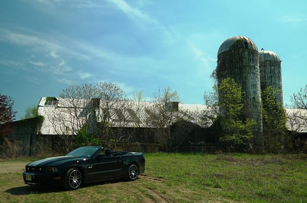 2010-2014 Ford Mustang S-197 Gen II Lets see your latest Pics PHOTO GALLERY-c046-copy.jpg