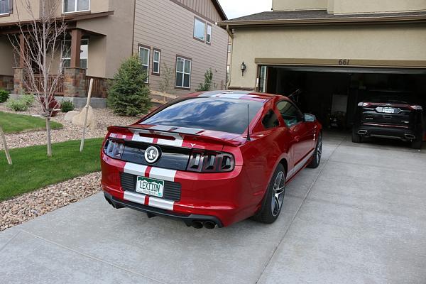 2010-2014 Ford Mustang S-197 Gen II Lets see your latest Pics PHOTO GALLERY-stripe_2.jpg