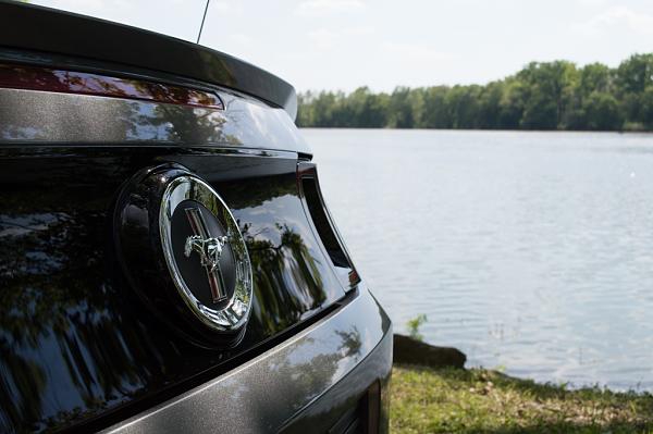 2010-2014 Ford Mustang S-197 Gen II Lets see your latest Pics PHOTO GALLERY-dsc_0049.jpg