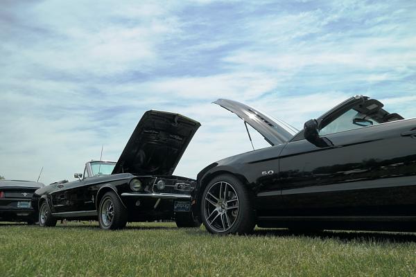 2010-2014 Ford Mustang S-197 Gen II Lets see your latest Pics PHOTO GALLERY-m10.jpg