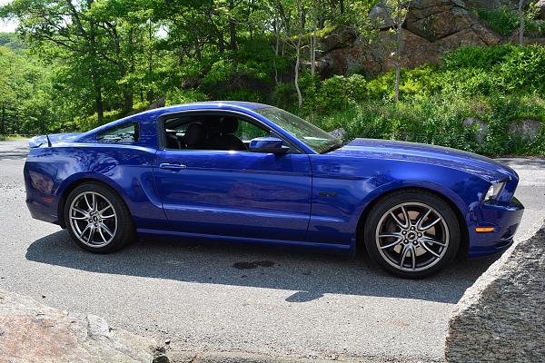 2010-2014 Ford Mustang S-197 Gen II Lets see your latest Pics PHOTO GALLERY-dsc_0771-copy.jpg