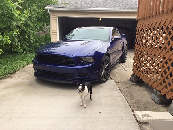 2010-2014 Ford Mustang S-197 Gen II Lets see your latest Pics PHOTO GALLERY-image-4033587646.jpg