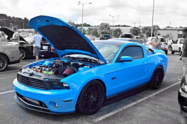 2010-2014 Ford Mustang S-197 Gen II Lets see your latest Pics PHOTO GALLERY-11327300_958729554161973_1405083581_n.jpg