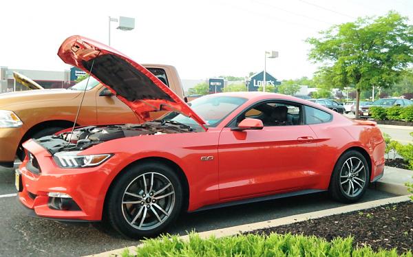 2010-2014 Ford Mustang S-197 Gen II Lets see your latest Pics PHOTO GALLERY-001.jpg