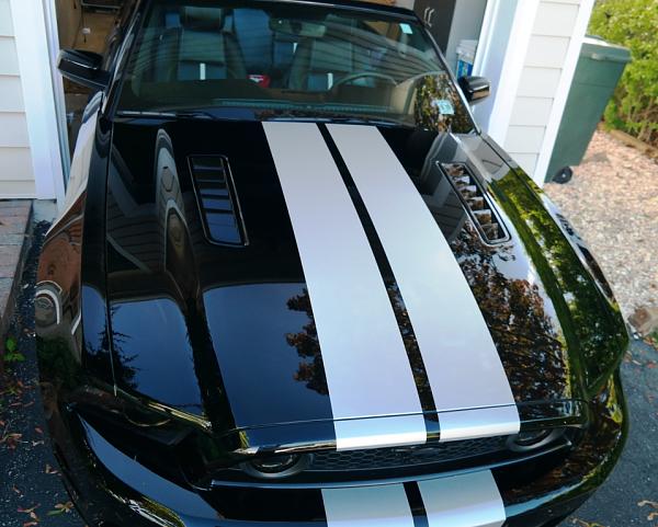 2010-2014 Ford Mustang S-197 Gen II Lets see your latest Pics PHOTO GALLERY-002.jpg