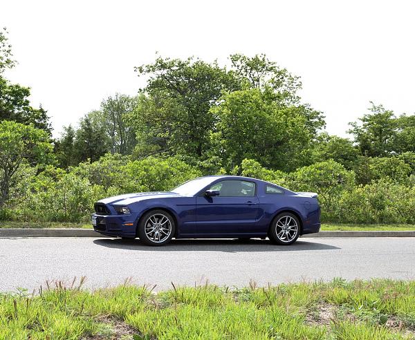 2010-2014 Ford Mustang S-197 Gen II Lets see your latest Pics PHOTO GALLERY-dsc_0851.jpg