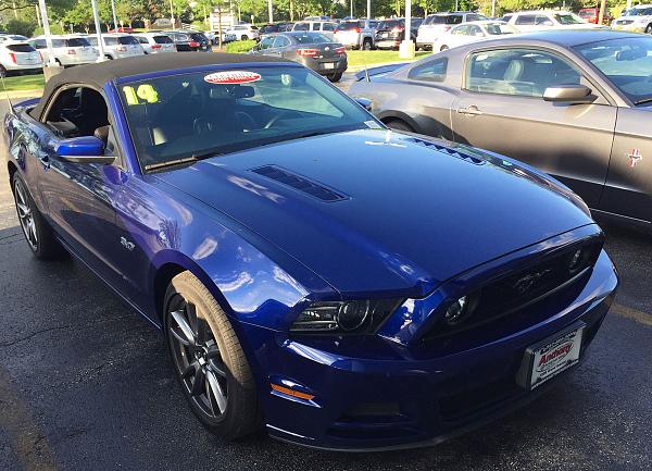 Went from a '14 V6 Premium Coupe to a '14 GT Vert-new-baby.jpg