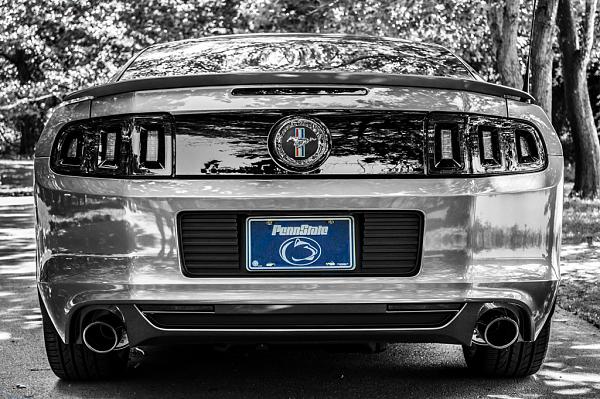 2010-2014 Ford Mustang S-197 Gen II Lets see your latest Pics PHOTO GALLERY-dsc_0040.jpg