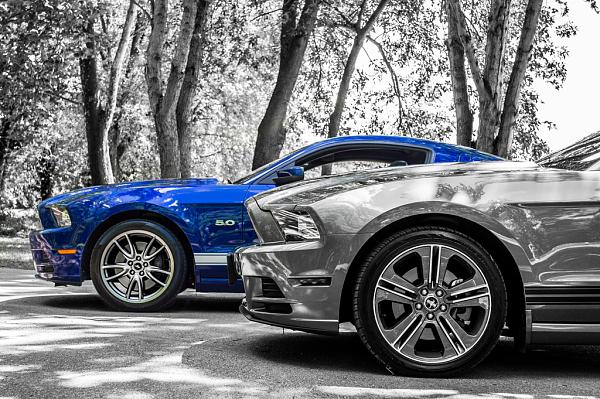 2010-2014 Ford Mustang S-197 Gen II Lets see your latest Pics PHOTO GALLERY-dsc_0121.jpg