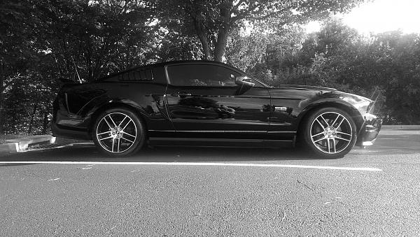 2010-2014 Ford Mustang S-197 Gen II Lets see your latest Pics PHOTO GALLERY-aug-bw-side.jpg