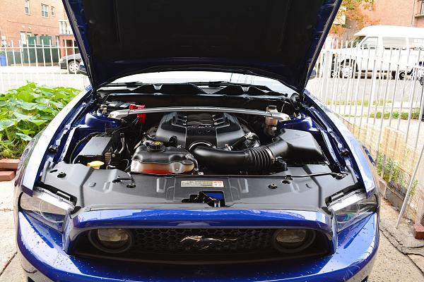 2010-2014 Ford Mustang S-197 Gen II Lets see your latest Pics PHOTO GALLERY-dsc_1044.jpg