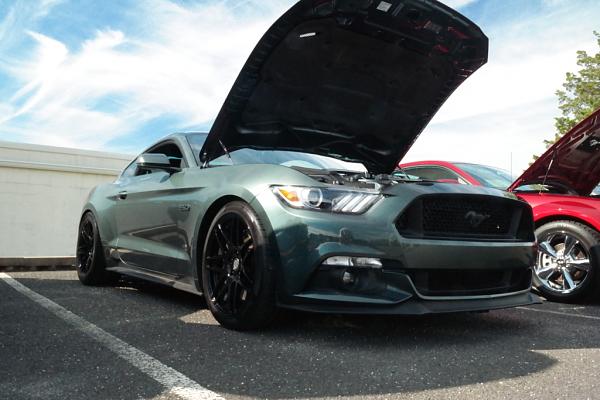 2010-2014 Ford Mustang S-197 Gen II Lets see your latest Pics PHOTO GALLERY-sam_3149.jpg