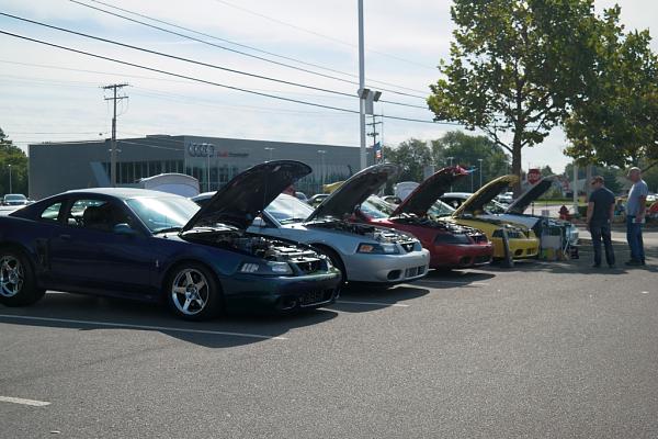 2010-2014 Ford Mustang S-197 Gen II Lets see your latest Pics PHOTO GALLERY-sam_3202.jpg