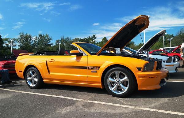 2010-2014 Ford Mustang S-197 Gen II Lets see your latest Pics PHOTO GALLERY-sam_3250.jpg