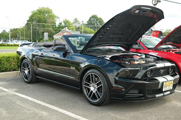 2010-2014 Ford Mustang S-197 Gen II Lets see your latest Pics PHOTO GALLERY-sam_3287.jpg