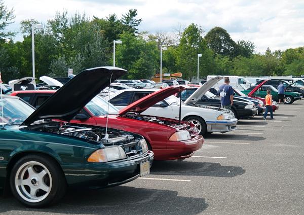 2010-2014 Ford Mustang S-197 Gen II Lets see your latest Pics PHOTO GALLERY-sam_3265.jpg