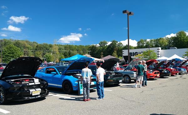 2010-2014 Ford Mustang S-197 Gen II Lets see your latest Pics PHOTO GALLERY-club5.jpg