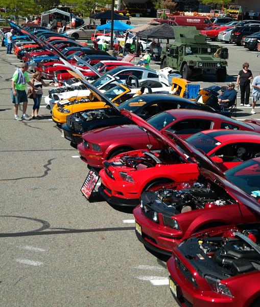 2010-2014 Ford Mustang S-197 Gen II Lets see your latest Pics PHOTO GALLERY-club12.jpg