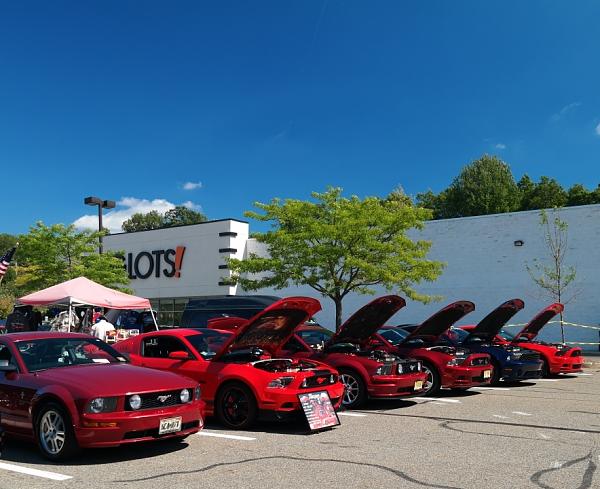 2010-2014 Ford Mustang S-197 Gen II Lets see your latest Pics PHOTO GALLERY-club8.jpg