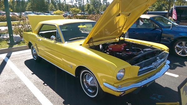 2010-2014 Ford Mustang S-197 Gen II Lets see your latest Pics PHOTO GALLERY-rva4.jpg