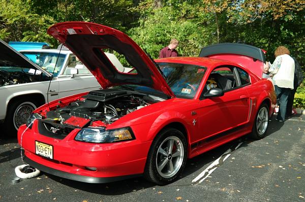 2010-2014 Ford Mustang S-197 Gen II Lets see your latest Pics PHOTO GALLERY-011.jpg