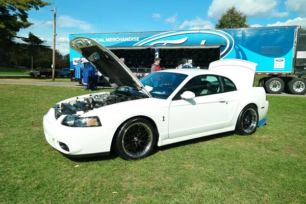 2010-2014 Ford Mustang S-197 Gen II Lets see your latest Pics PHOTO GALLERY-096.jpg