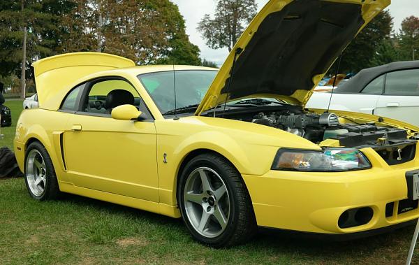 2010-2014 Ford Mustang S-197 Gen II Lets see your latest Pics PHOTO GALLERY-128.jpg