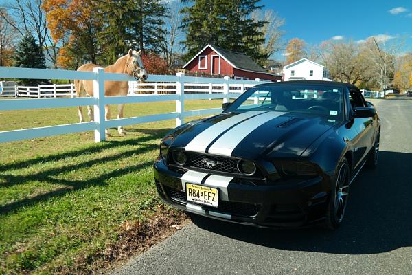 2010-2014 Ford Mustang S-197 Gen II Lets see your latest Pics PHOTO GALLERY-041.jpg