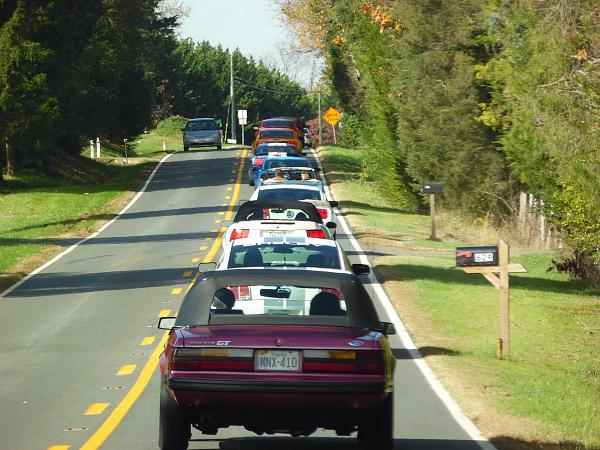 2010-2014 Ford Mustang S-197 Gen II Lets see your latest Pics PHOTO GALLERY-leaf-cruise.jpg