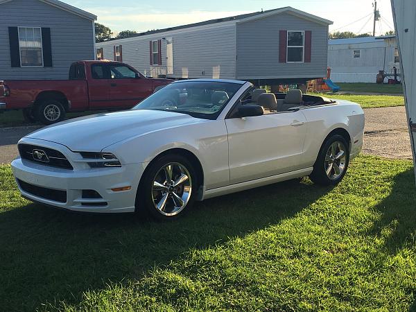 2010-2014 Ford Mustang S-197 Gen II Lets see your latest Pics PHOTO GALLERY-image.jpeg