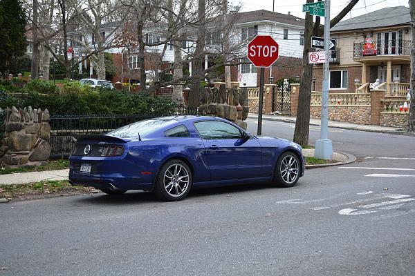 2010-2014 Ford Mustang S-197 Gen II Lets see your latest Pics PHOTO GALLERY-dsc_0644.jpg