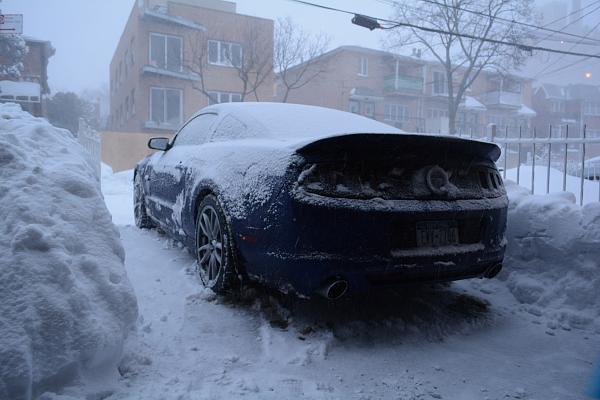 2010-2014 Ford Mustang S-197 Gen II Lets see your latest Pics PHOTO GALLERY-dsc_0681.jpg