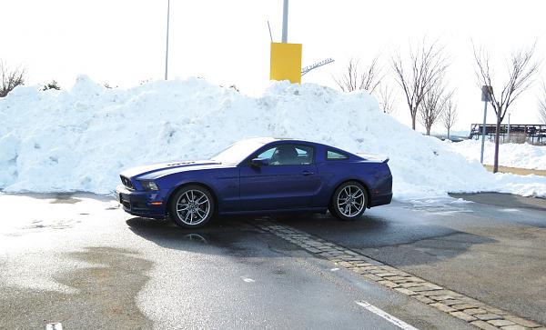 2010-2014 Ford Mustang S-197 Gen II Lets see your latest Pics PHOTO GALLERY-dsc_0703.jpg