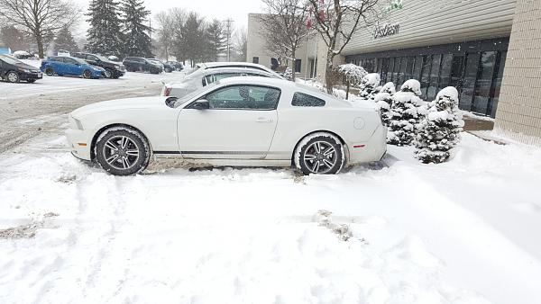 The mustang and snow-mustang.jpg
