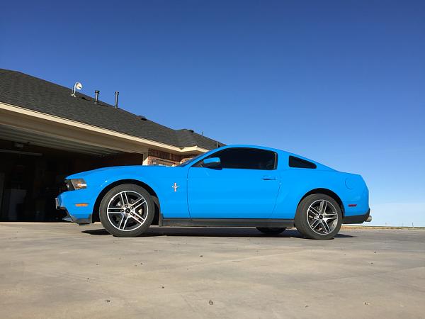 2010-2014 Ford Mustang S-197 Gen II Lets see your latest Pics PHOTO GALLERY-photo376.jpg