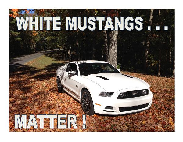 2010-2014 Ford Mustang S-197 Gen II Lets see your latest Pics PHOTO GALLERY-whitemustangs022716.jpg