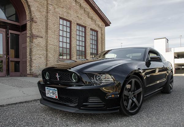 2010-2014 Ford Mustang S-197 Gen II Lets see your latest Pics PHOTO GALLERY-dsc_0221.jpg